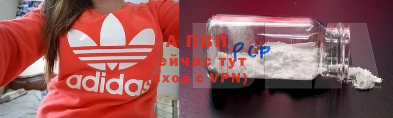 купить закладку  Ахтубинск  Alfa_PVP крисы CK 